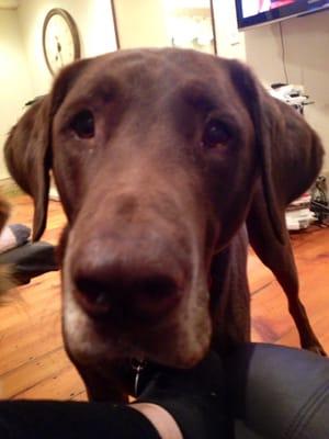 photo of Stephanie T.