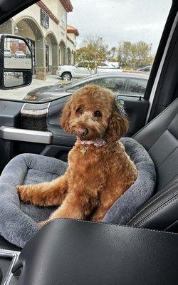 Photo of Bridgette P.