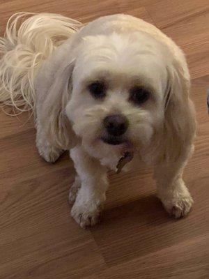 photo of Torrance L.