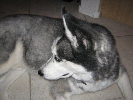 photo of Patricia L.