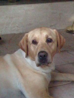 photo of FrancisMaria H.