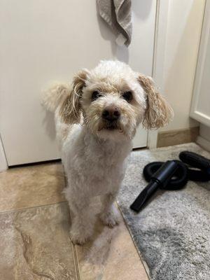 photo of Stephanie R.