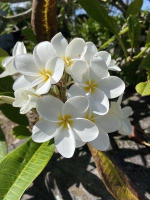 Photo of Christina S.