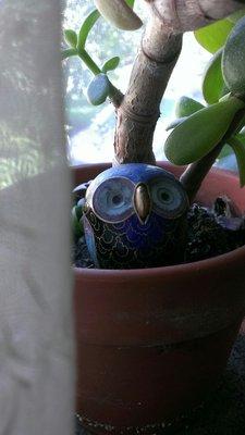 photo of Elizabeth P.