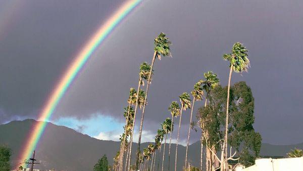 photo of Kimberly A.