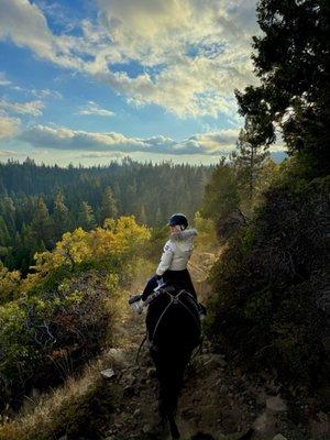 photo of Arabella D.