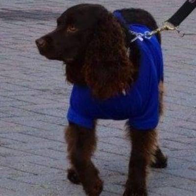 photo of Tina-Marie B.