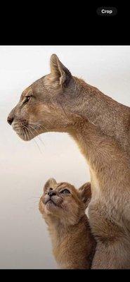 photo of Patricia M.