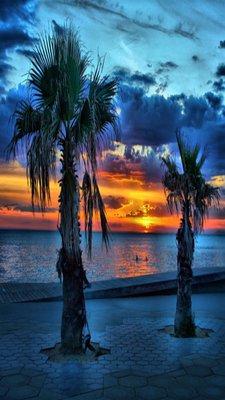 photo of Jose Lorenzo C.