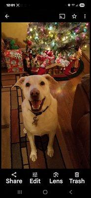 photo of Lorraine R.