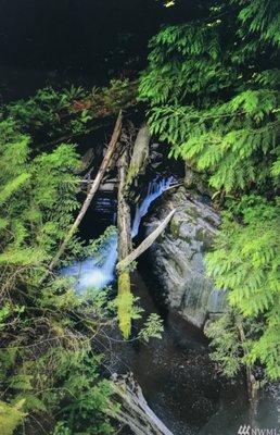 photo of Karollen K.