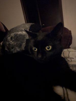 photo of Benjamin M.