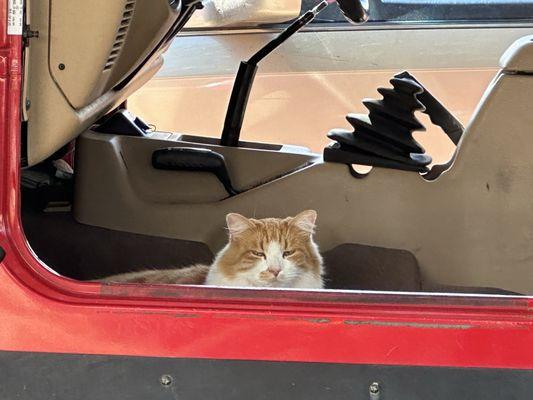 Photo of Caroline C.