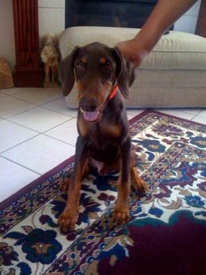 photo of Jennifer W.