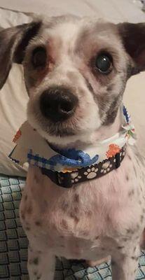 Photo of Christina L.