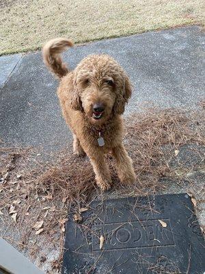 photo of Jennie Lynn K.