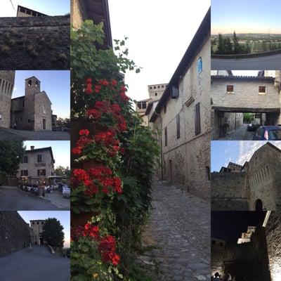 photo of Virginia D.