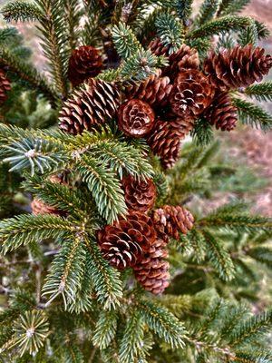 Photo of Felicity S.