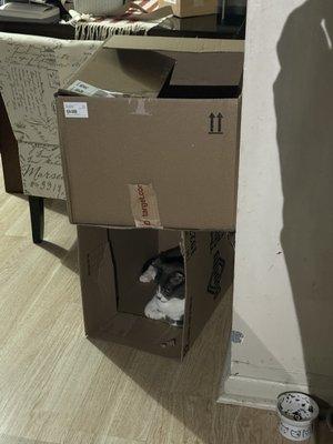 photo of Prasanga-Alan Y.