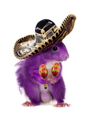 photo of Christina V.