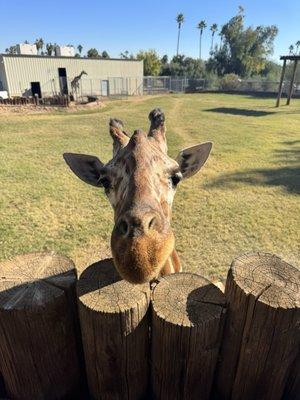 photo of Elchanan G.