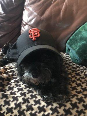 photo of Jeovanny E.