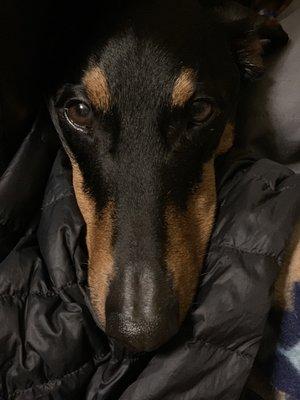 Photo of Rio S.