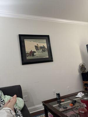 Photo of Buddy M.