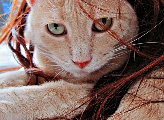 Photo of Maxine S.