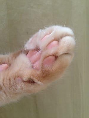 photo of Brittany W.