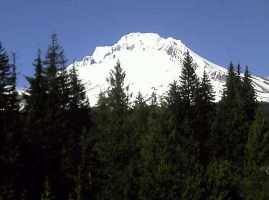 Photo of Charlies C.