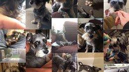 photo of Matthews D.