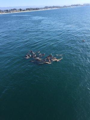 photo of Samantha R.