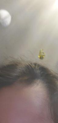 Photo of Crystalina A.