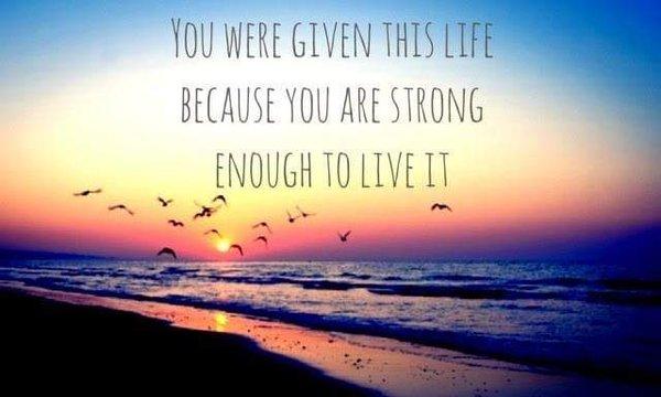 photo of Purple Chick K.