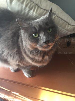 Photo of Lizzie C.