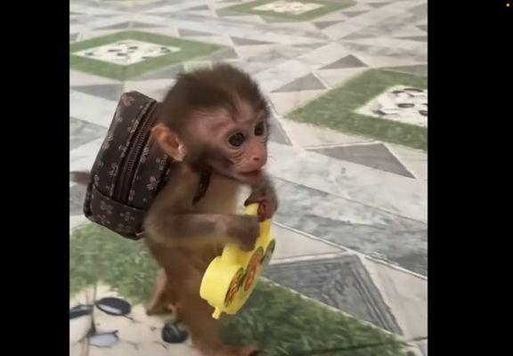 photo of Josephine L.