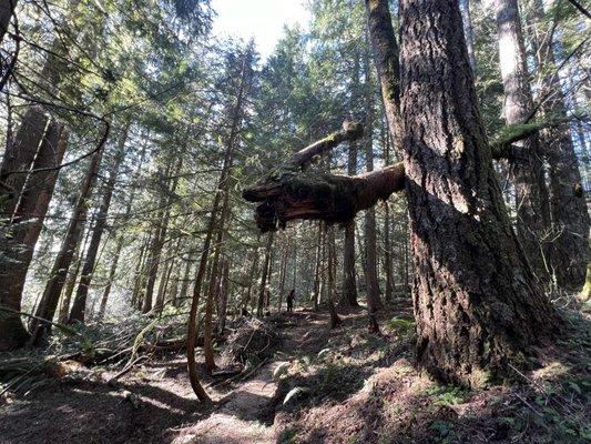 photo of Courtney C.