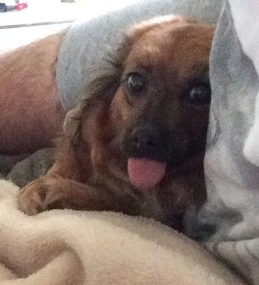 photo of Jermaine G.