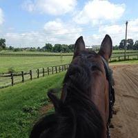 Photo of Michelle W.