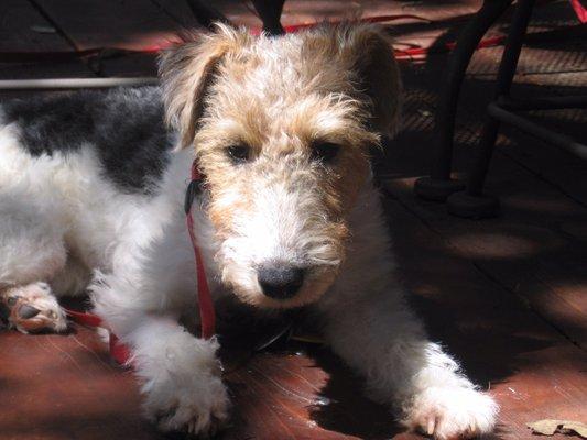 Photo of Gretchen M.