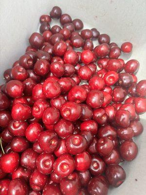 Photo of Michelle T.