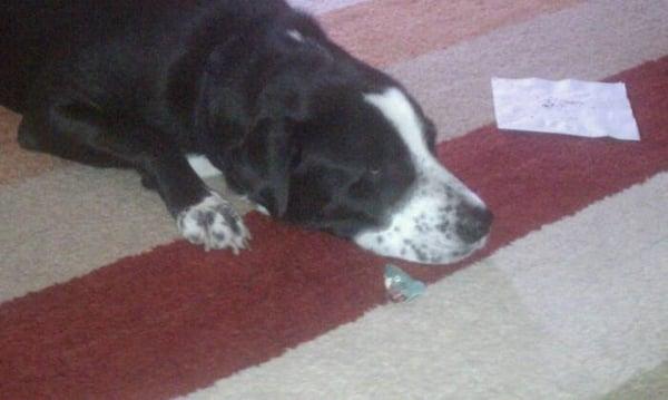 Photo of Katerina K.