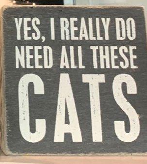 Photo of CatMo M.