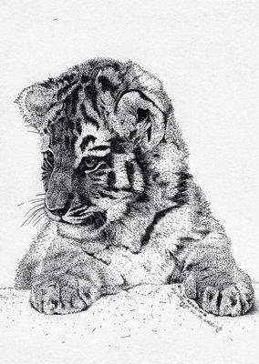 photo of Kimberlee J.