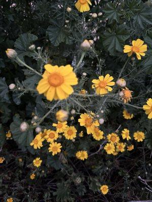 Photo of Gina A.