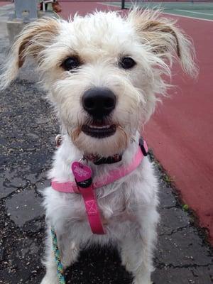 photo of Veronica D.