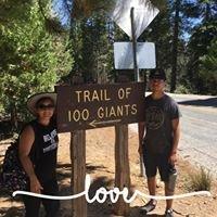 photo of Griselda T.