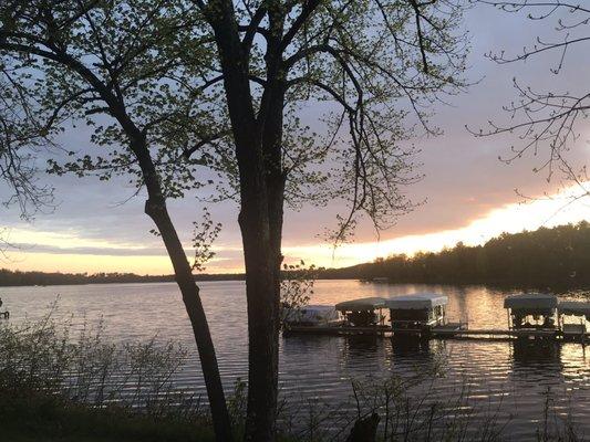 photo of Michelle J.