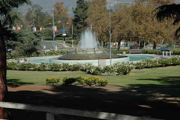 Photo of Seema M.